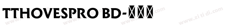 TTHOVESPRO BD字体转换